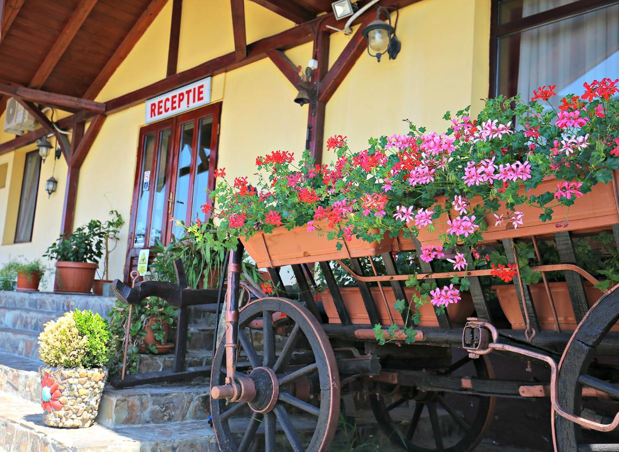 Pension Varadia Oradea Ngoại thất bức ảnh
